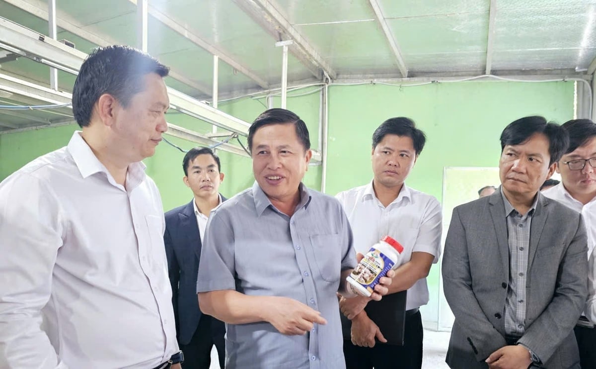 Chế phẩm vi sinh được sử dụng trong chăn nuôi an toàn sinh học. Ảnh: Hoàng Anh.