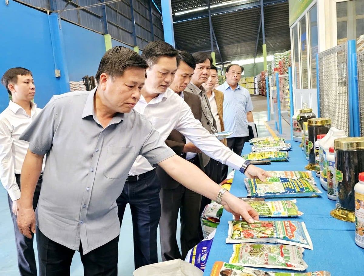 Ông Đinh Công Sử, Phó Chủ tịch UBND tỉnh Phú Thọ mong muốn Tập đoàn Quế Lâm mở rộng chuỗi liên kết phát triển nông nghiệp hữu cơ, kinh tế tuần hoàn. Ảnh: Hoàng Anh.