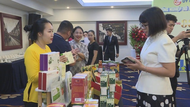 TP. Hồ Chí Minh hội thảo về nông nghiệp đô thị: Đổi mới để phát triển bền vững trong lòng siêu đô thị- Ảnh 4.