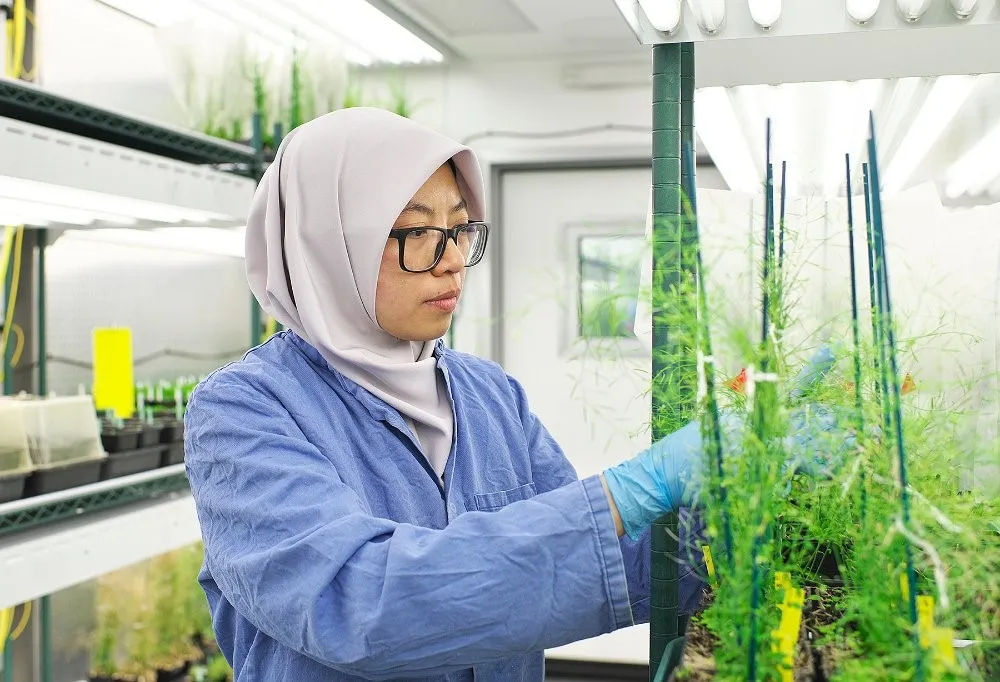 Các nhà khoa học hàng đầu thế giới hiến kế nuôi sống 10 tỷ người tại Tuần lễ Khoa học Công nghệ VinFuture 2025- Ảnh 2.