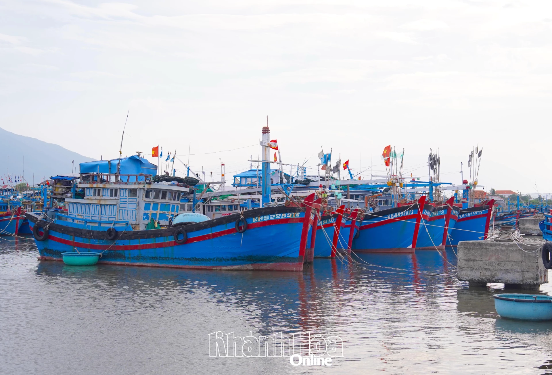Fiskebåter ankret opp ved Ninh Hai fiskehavn og ankringsområde, Dong Ninh Hoa-distriktet (Foto: D.LAM)