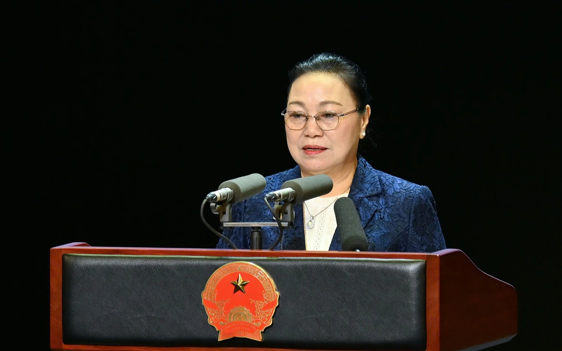 הנשיא לואונג צ'ונג חוגג 50 שנה ליחסי וייטנאם-לאוס הגדולים - תמונה 4.