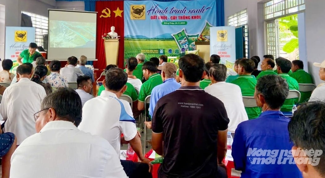 Chương trình 'Hành trình xanh – đất khỏe, cây trồng khỏe' của Bình Điền lan tỏa tại ĐBSCL, giúp nông dân cải tạo đất, nâng hiệu quả sản xuất và chuẩn bị cho vụ lúa đông xuân 2025 - 2026. Ảnh: Lê Hoàng Vũ.
