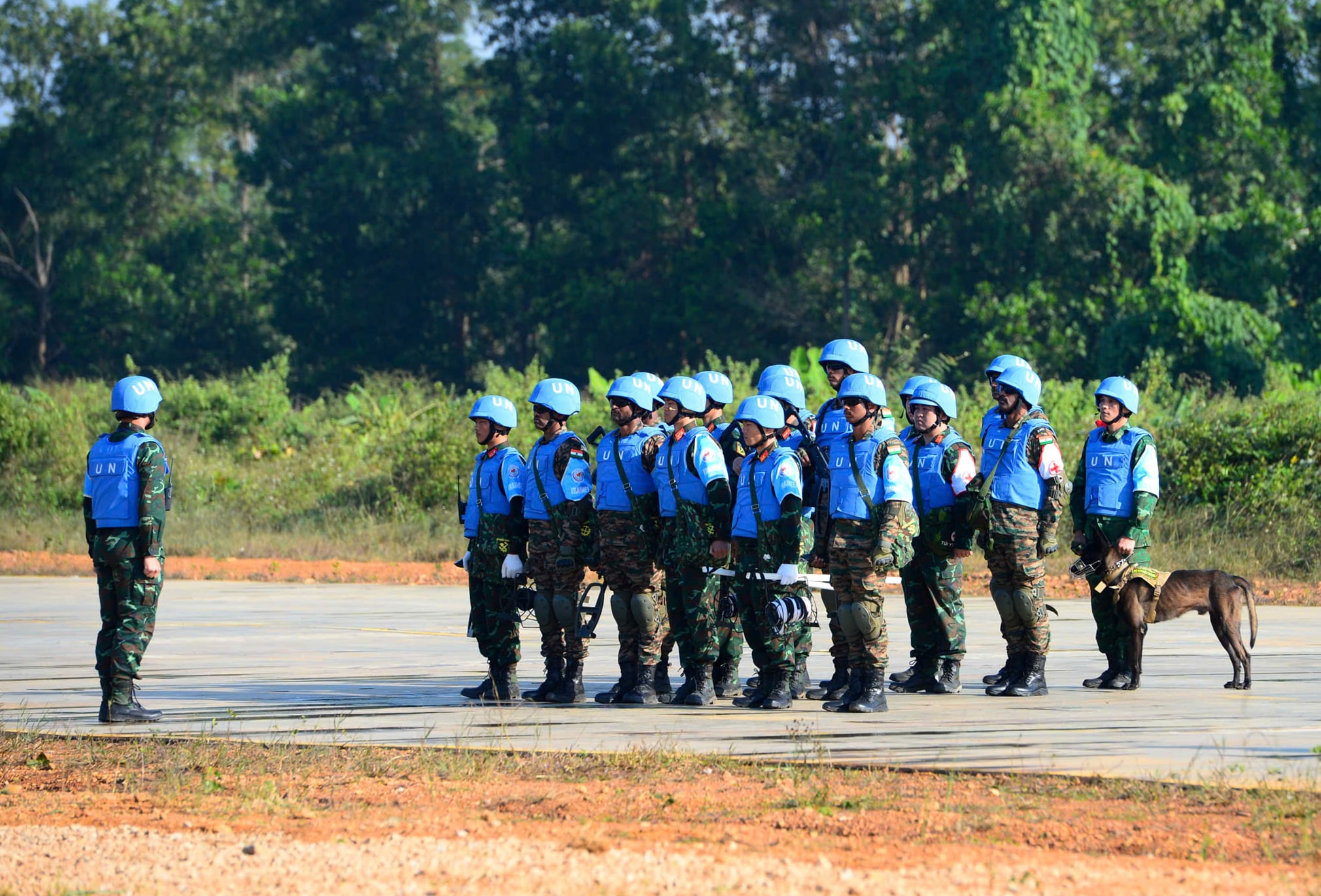 Truppe vietnamite e indiane conducono un'esercitazione di soccorso in caso di terremoto al VINBAX 2025 - Foto 1.