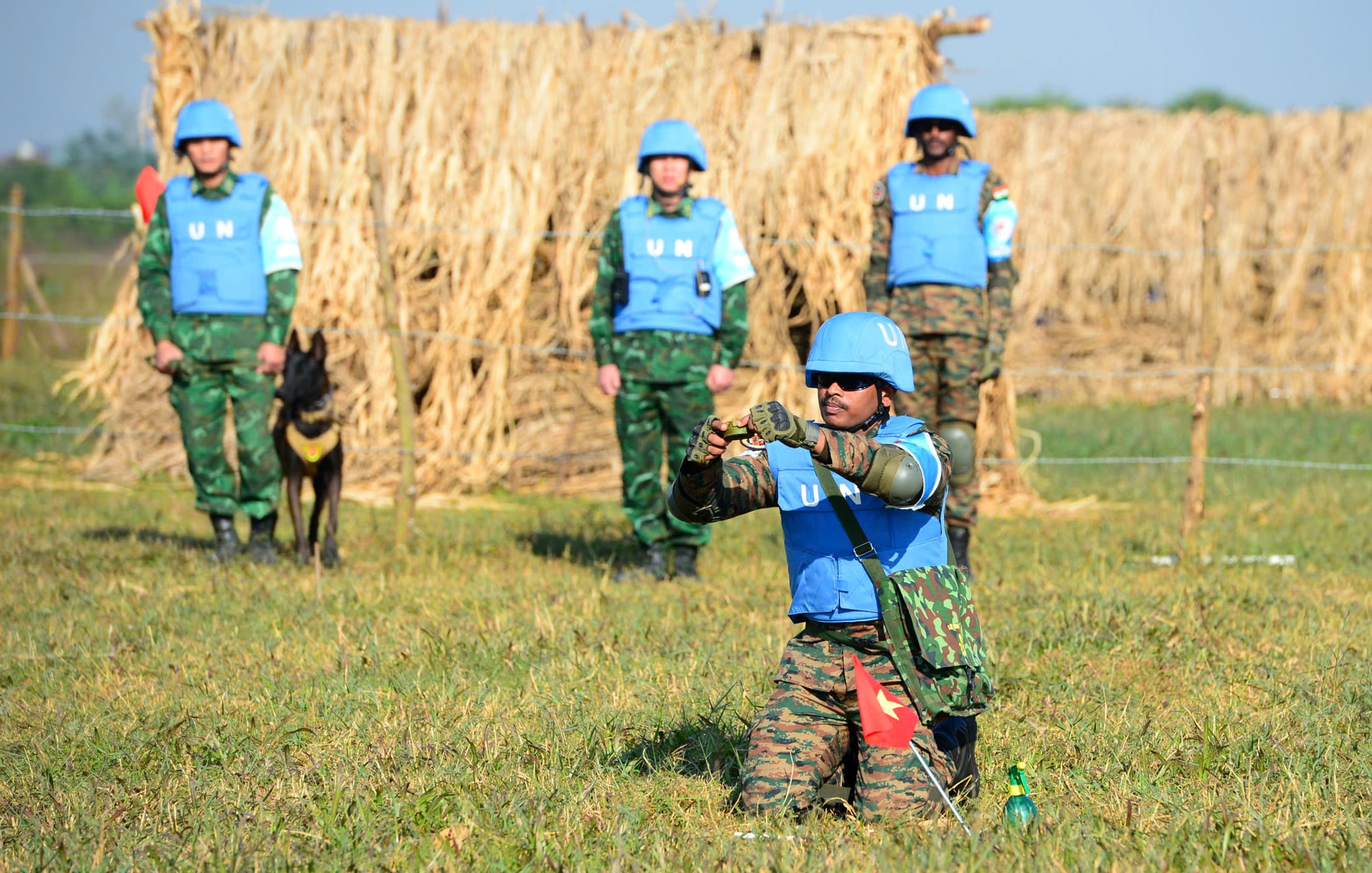 Truppe vietnamite e indiane conducono un'esercitazione di soccorso in caso di terremoto al VINBAX 2025 - Foto 2.