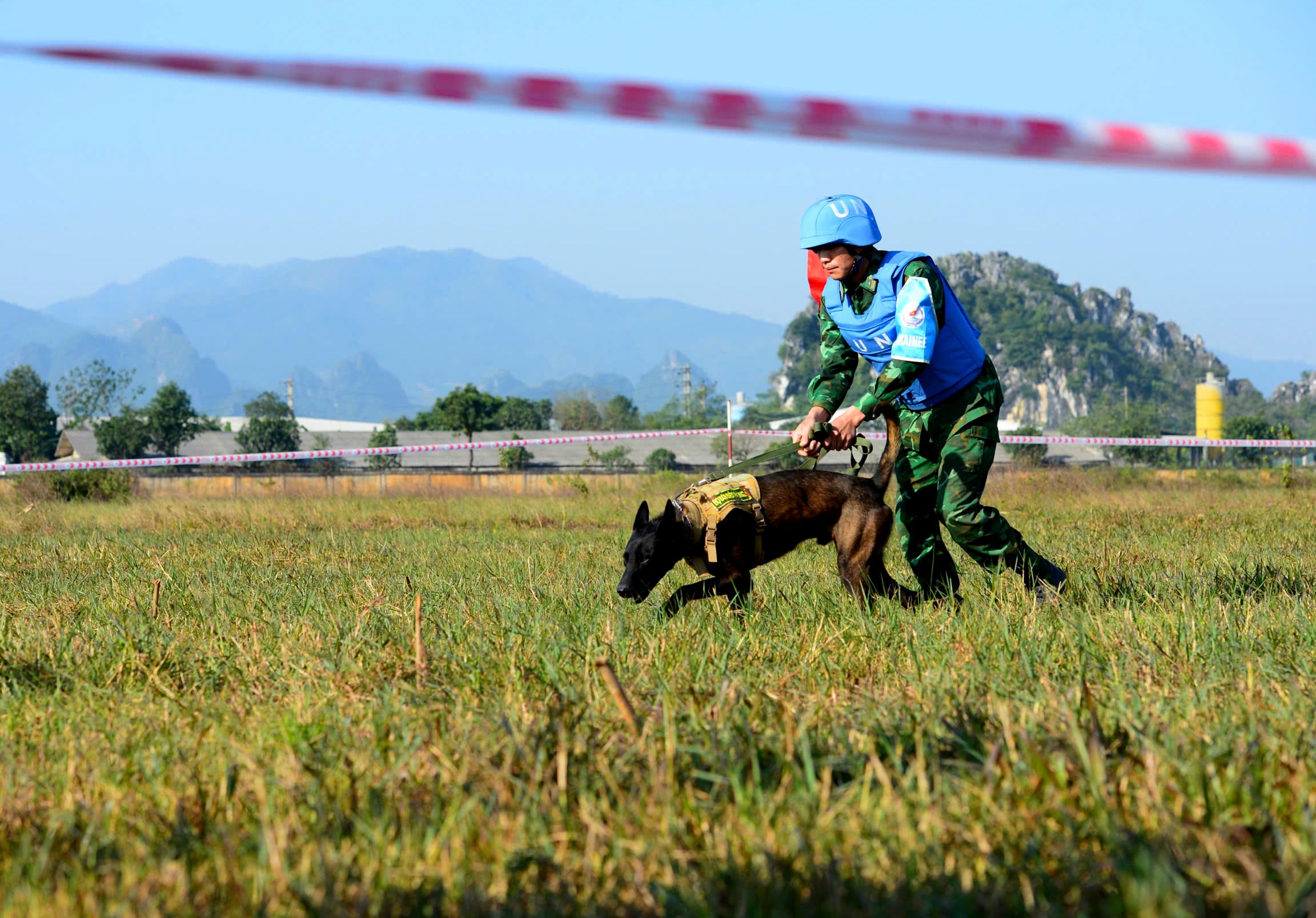Truppe vietnamite e indiane conducono un'esercitazione di soccorso in caso di terremoto al VINBAX 2025 - Foto 4.