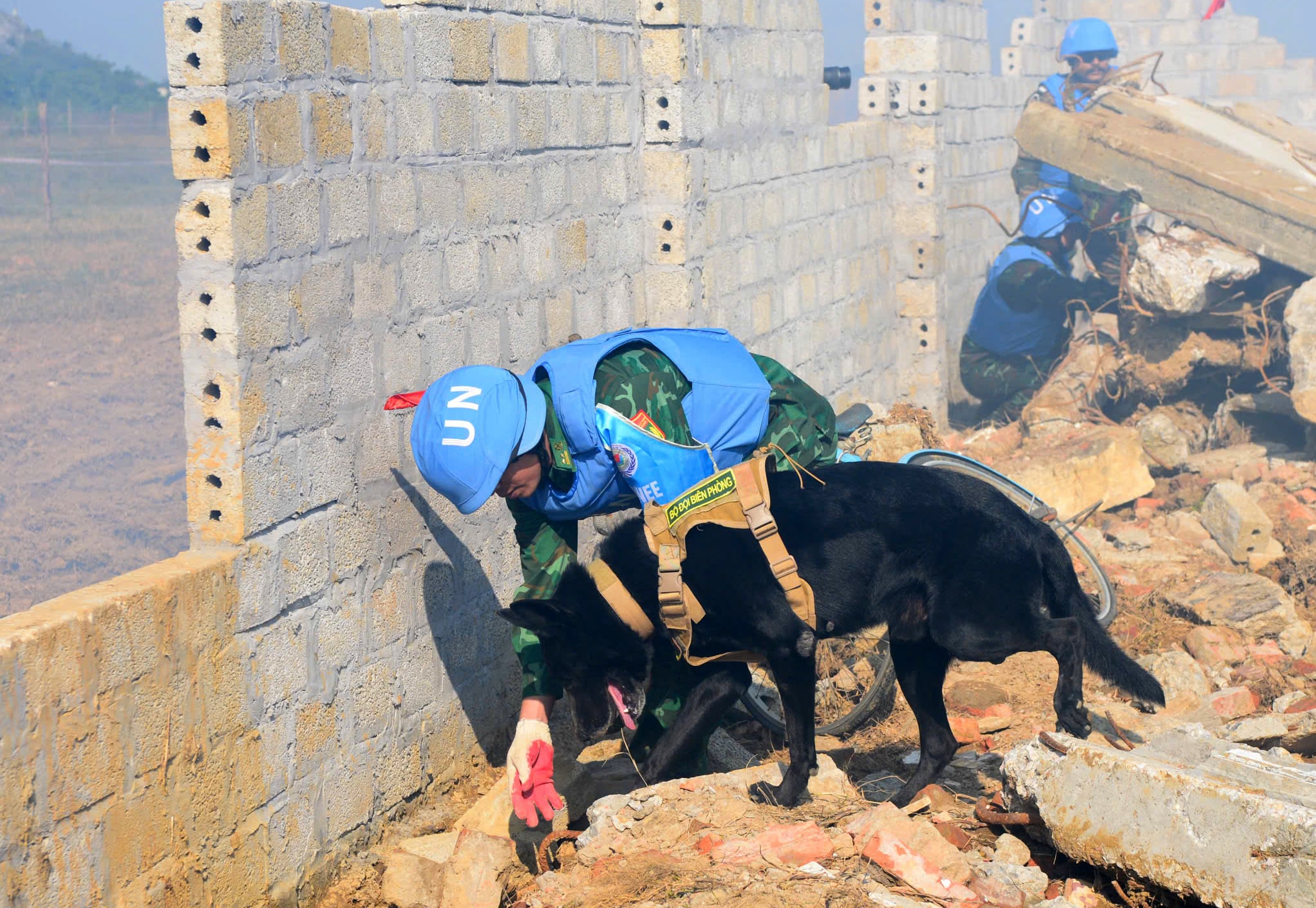 Truppe vietnamite e indiane conducono un'esercitazione di soccorso in caso di terremoto al VINBAX 2025 - Foto 18.