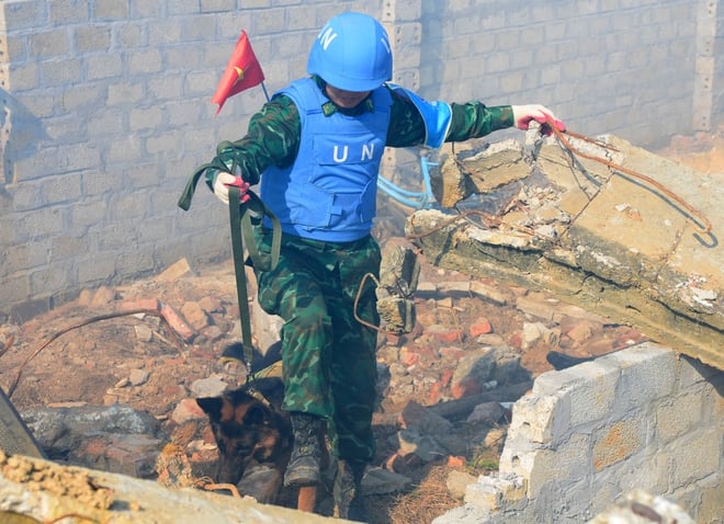 Truppe vietnamite e indiane conducono un'esercitazione di soccorso in caso di terremoto al VINBAX 2025 - Foto 20.