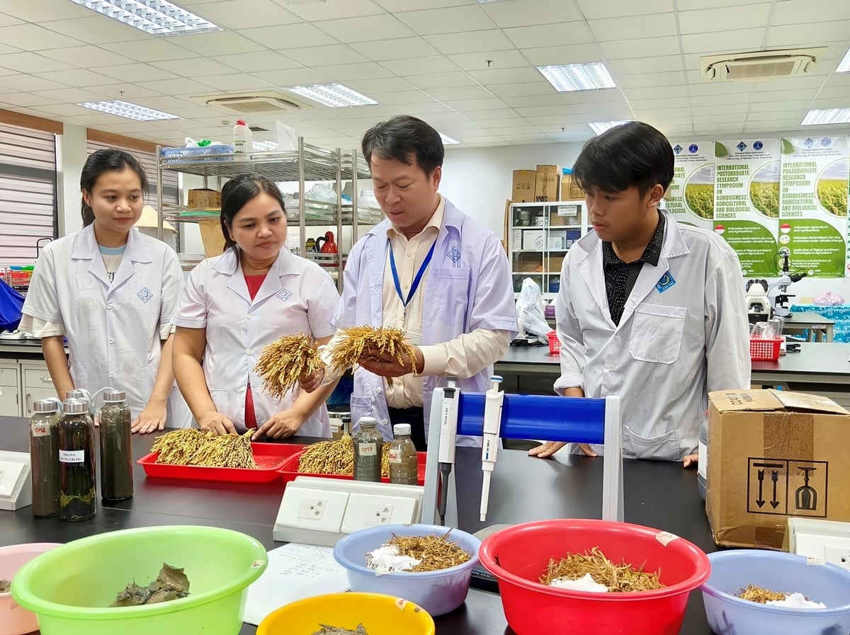 מחקר על איכות הקרקע במעבדה בבית הספר לחקלאות (אוניברסיטת קאן טו). צילום: קים אן. Nghiên cứu chất lượng đất trong phòng thí nghiệm tại Trường Nông nghiệp (Đại học Cần Thơ). Ảnh: Kim Anh.