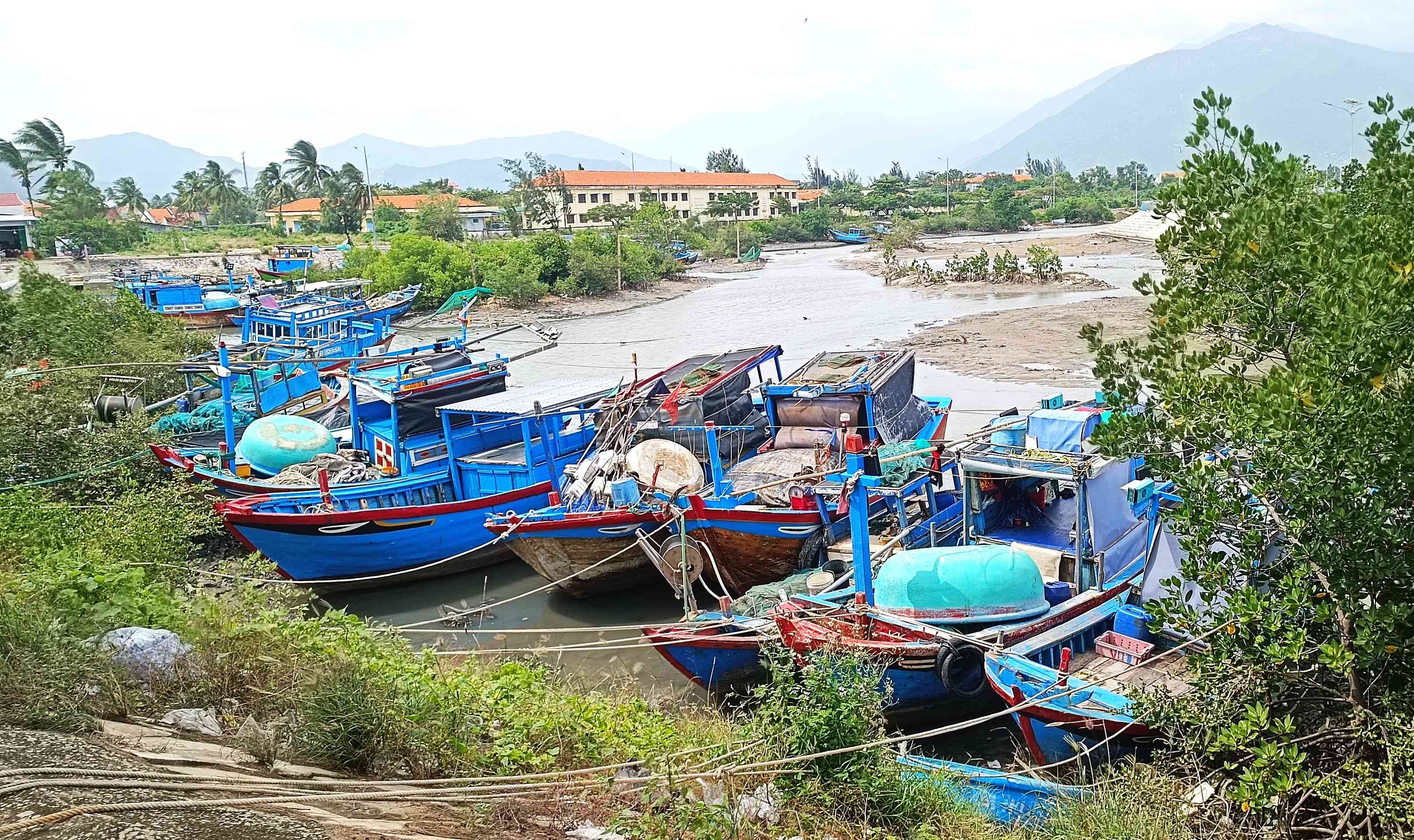 Boats anchored to take shelter from the storm at Ba Buong River estuary on the morning of November 27.
