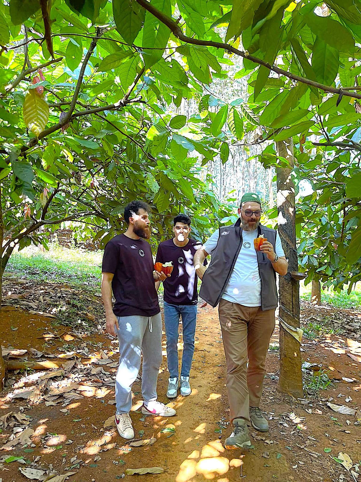 Nhờ công nghệ số, khách nước ngoài biết đến vườn ca cao của HTX Suối Cát, thường xuyên đến tham quan. Ảnh: Duy Phương.