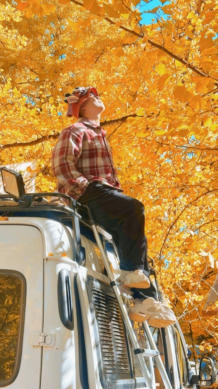 Dang Xung in het seizoen van de gouden ginkgobladeren, prachtig als een paradijs - 1