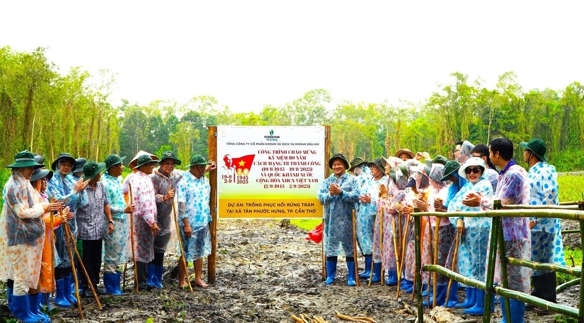 A PV Drilling realizou uma cerimônia de plantio de árvores e instalou uma placa para celebrar a Revolução de Agosto e o Dia Nacional, 2 de setembro, na floresta de cajeputes na cidade de Can Tho, antiga província de Hau Giang. Foto: PV Drilling. PV Drilling làm lễ ra quân trồng cây và gắn biển công trình chào mừng CMT8 và Quốc khánh 2-9 tại rừng tràm chim TP. Cần Thơ, tỉnh Hậu Giang cũ. Ảnh: PV Drilling.