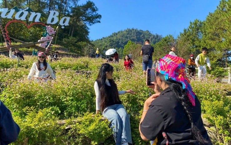 জেনারেল জেড একে অপরকে পাহাড়ে গিয়ে মেঘ শিকার করতে এবং বাজরা ফুল দেখতে আমন্ত্রণ জানায় - ২
