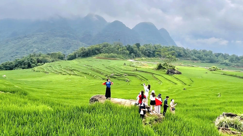 Thanh Hoa kültürel 