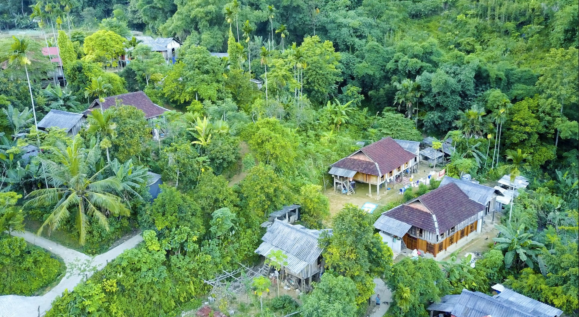 Cúc Phương trở thành Vườn quốc gia đầu tiên của Việt Nam. Ảnh: Văn Nguyễn.