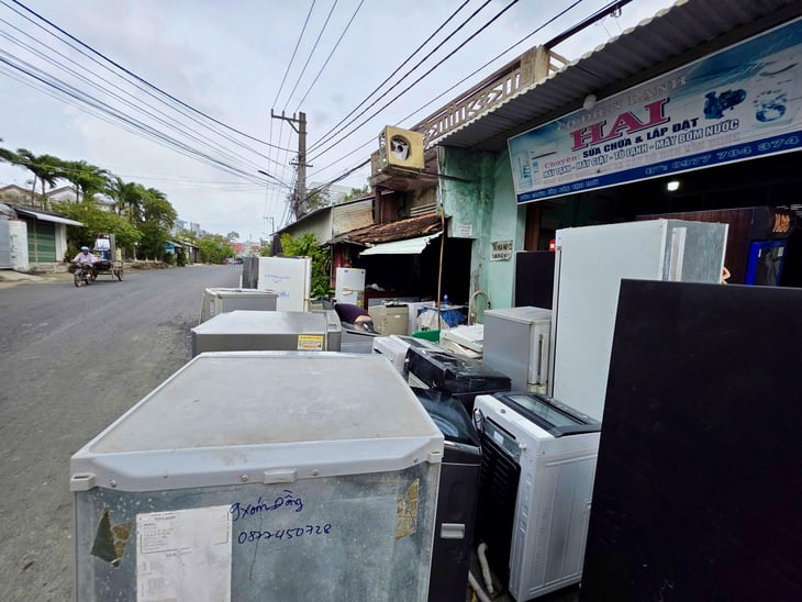 Phú Yên - Ảnh 7.