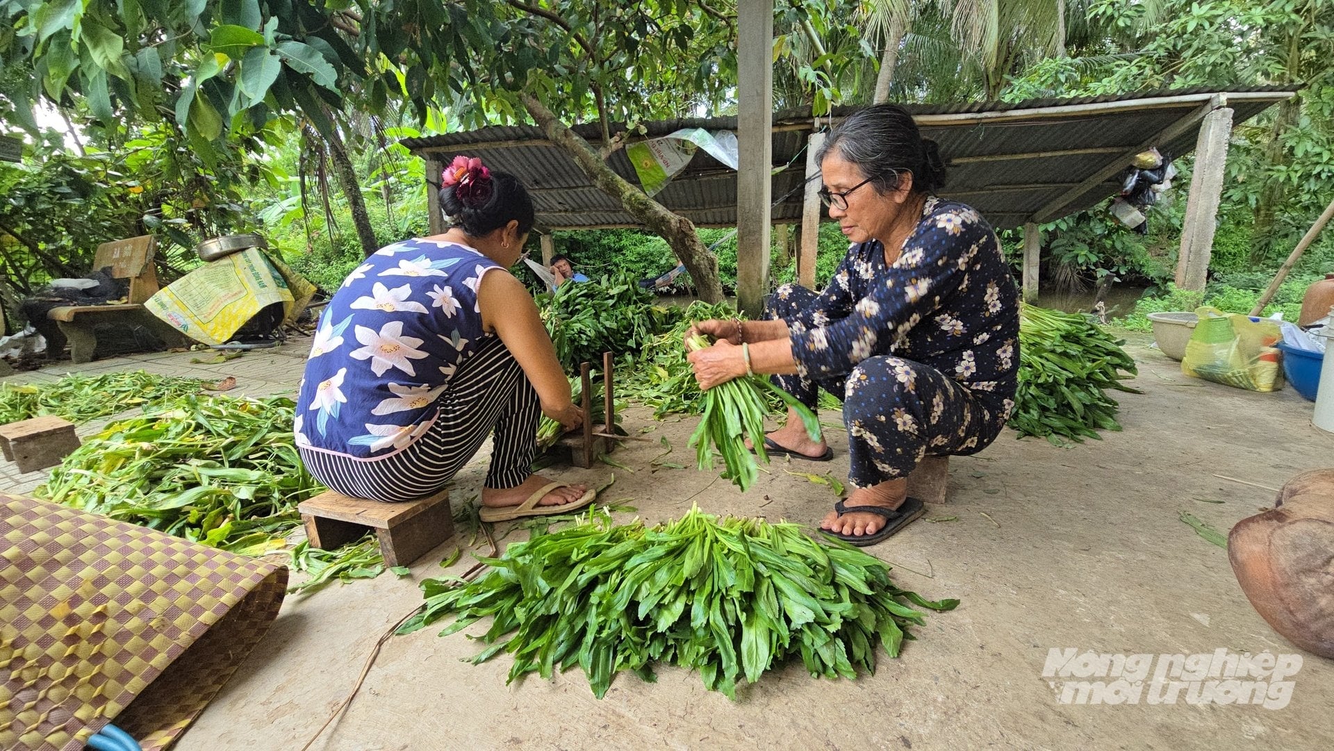 Các mô hình trồng rau màu đang giúp người dân hiện thực hóa giấc mơ thoát nghèo bằng chính đôi tay của mình. Ảnh: Minh Sáng.