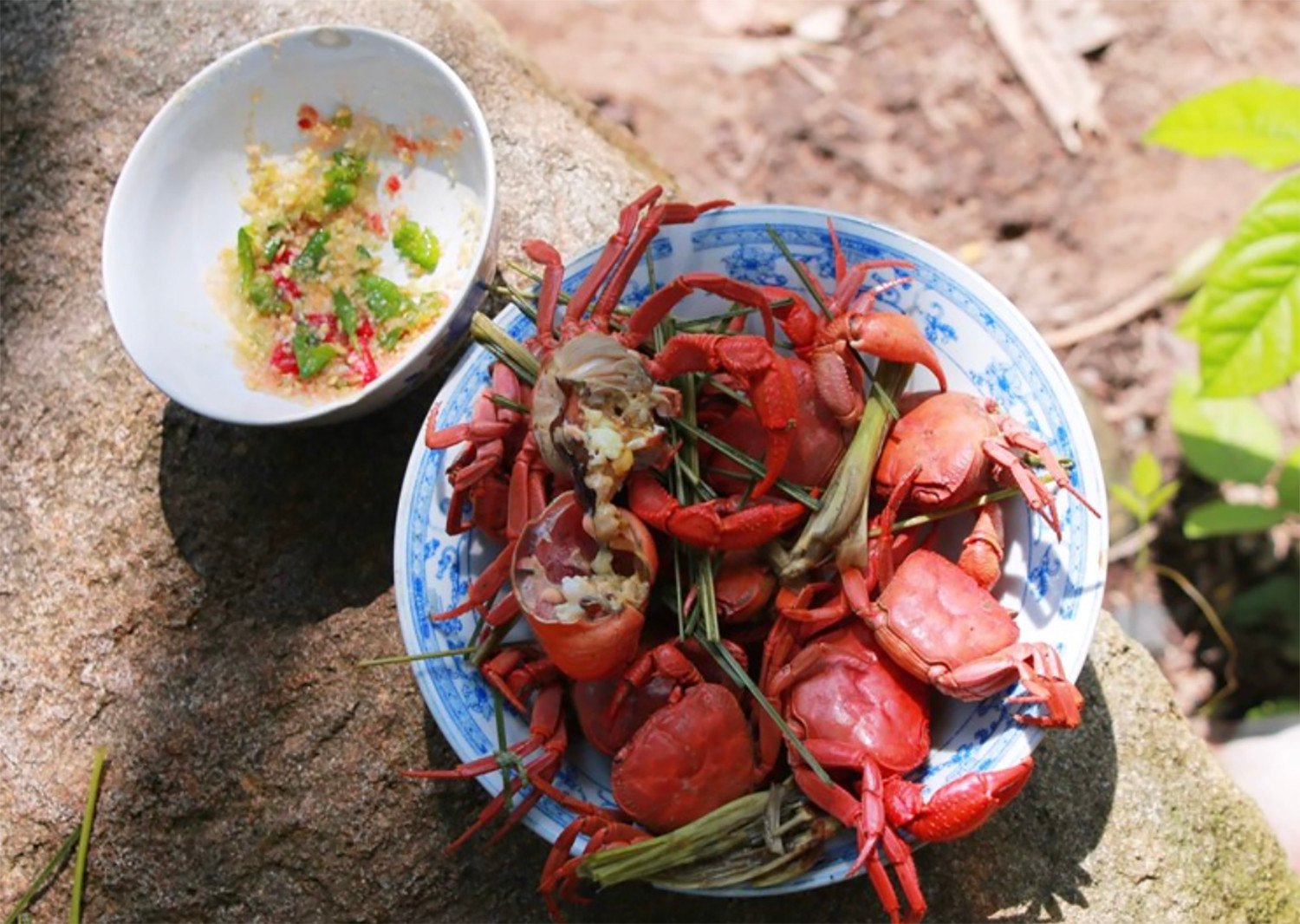 Forbidden Mountain Crab 3.jpg