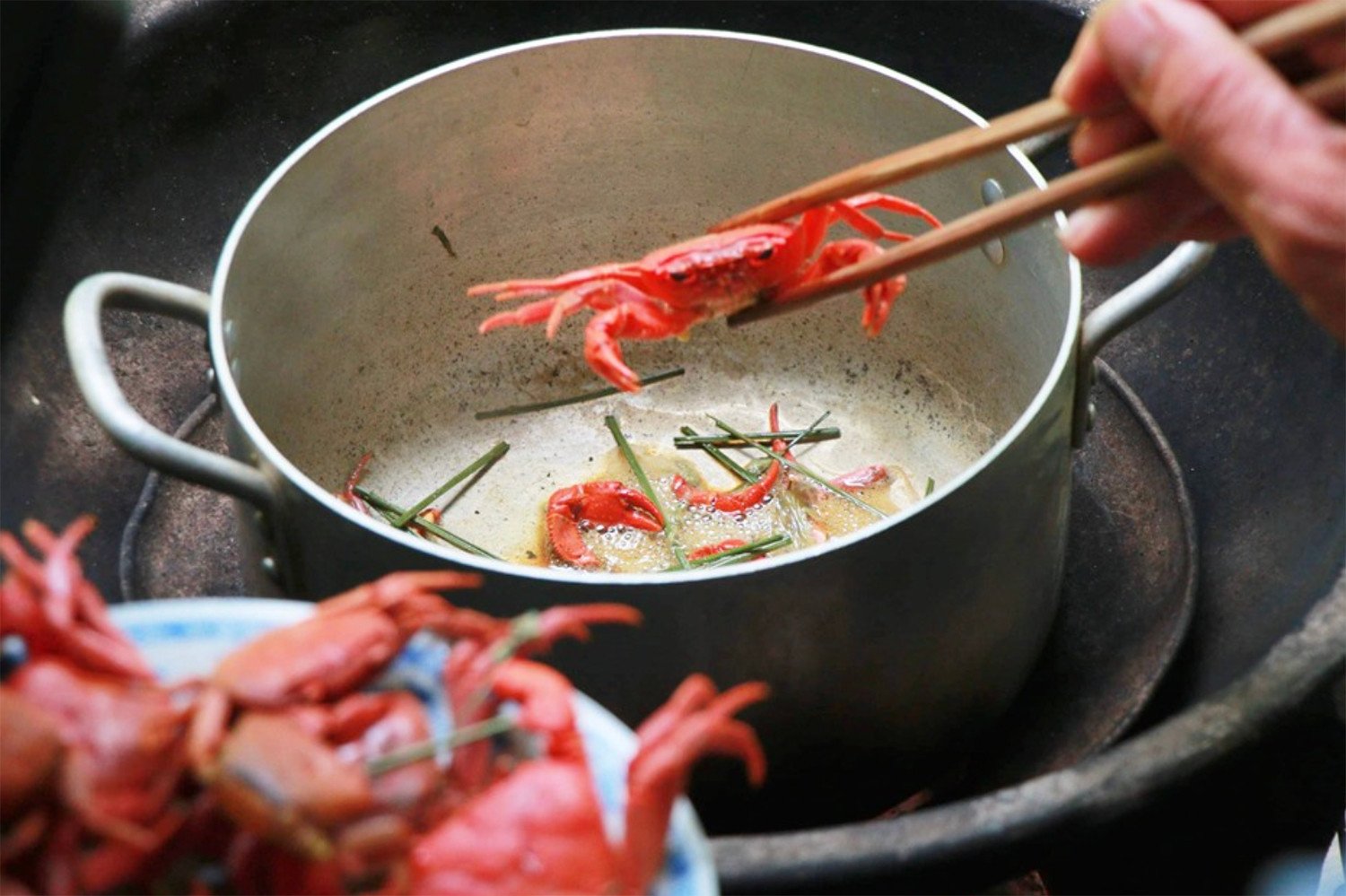 Forbidden Mountain Crab 2.jpg