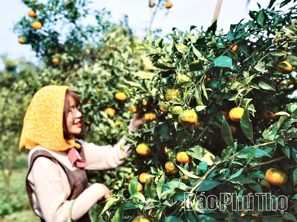 Откройте для себя туризм на «Крыше земли Мыонг»