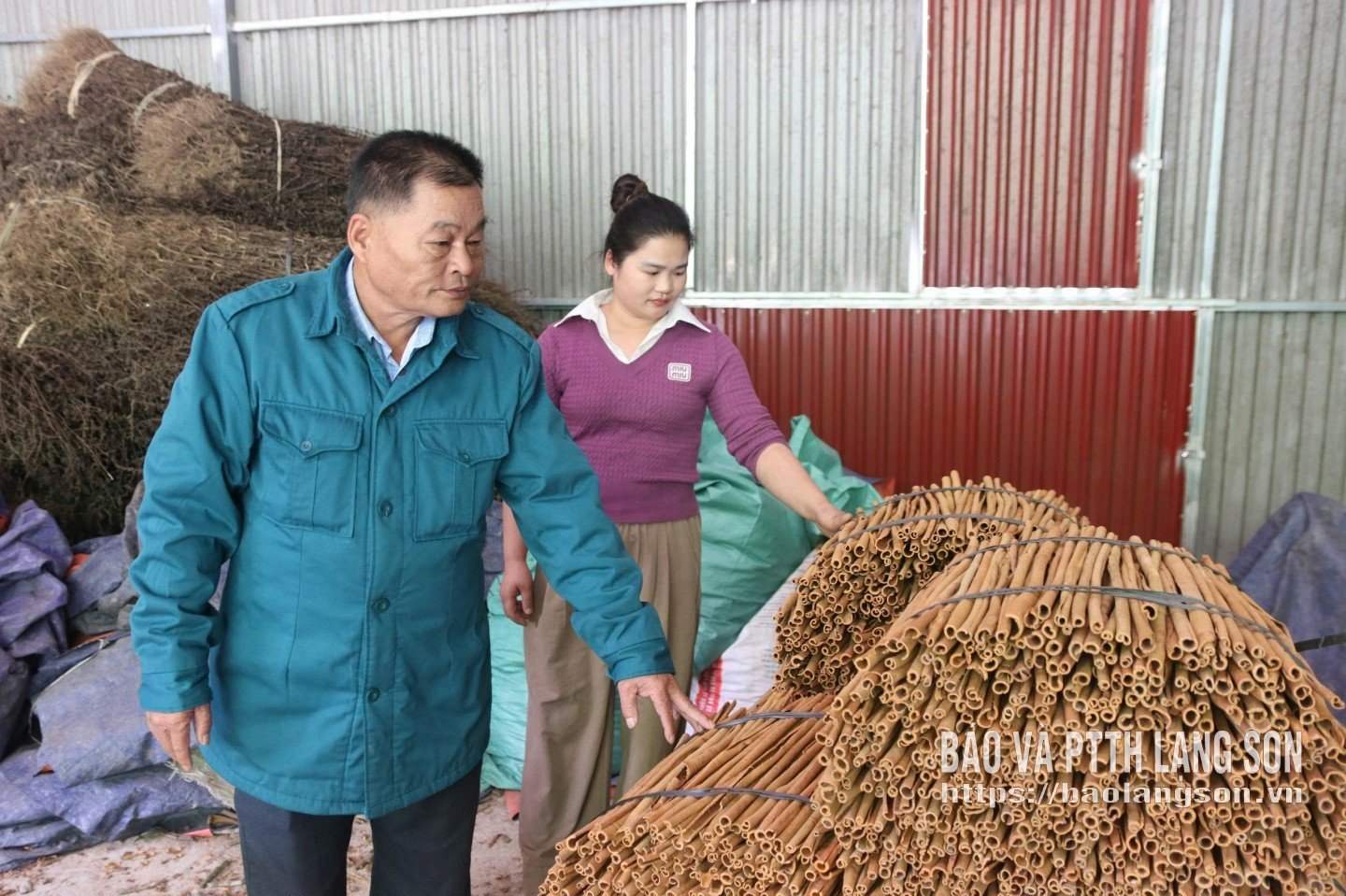 Produkty pozyskiwane z drzew cynamonowych mieszkańców gminy Tan Tien