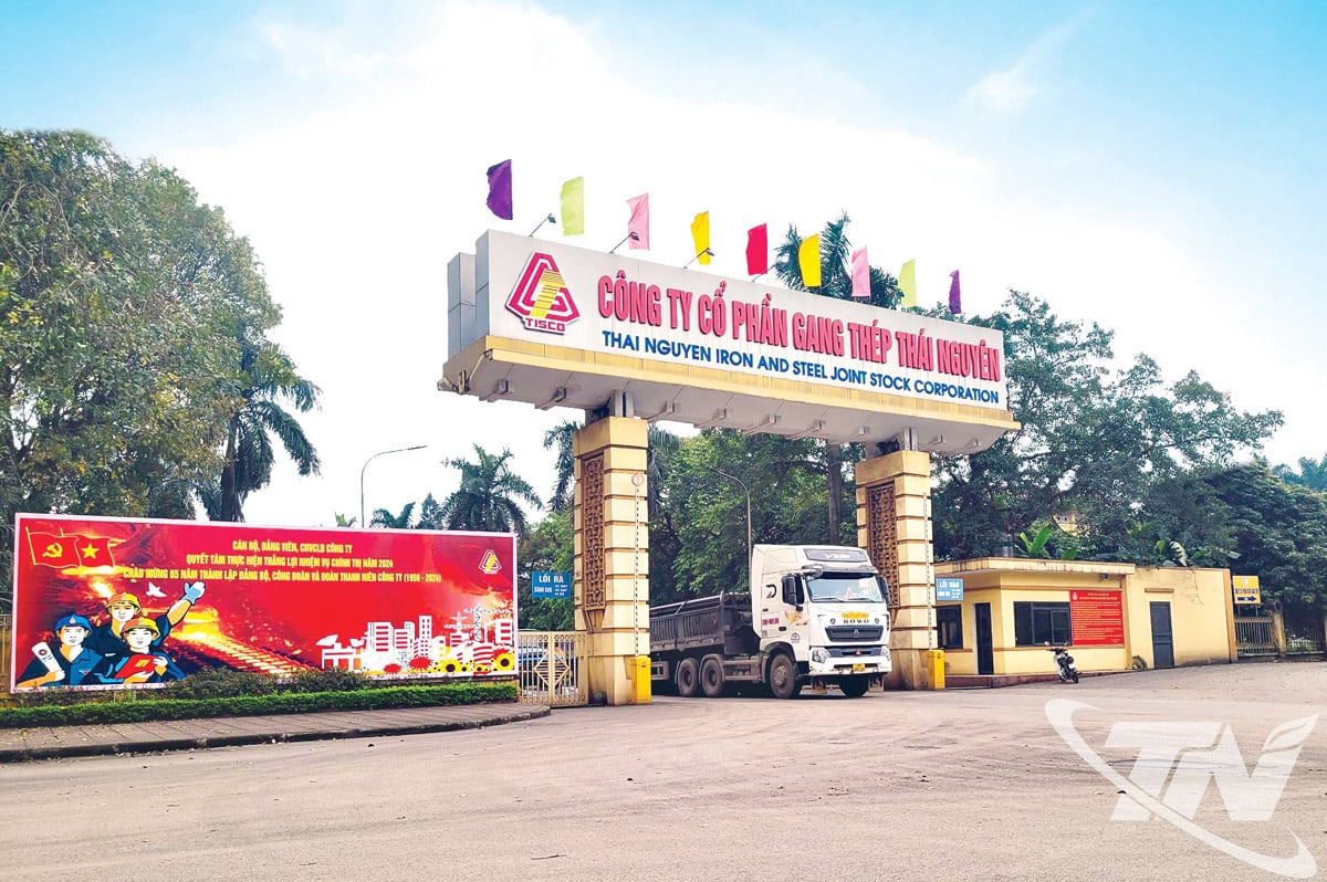 थाई न्गुयेन आयरन एंड स्टील कॉर्पोरेशन के सभी प्रकार के स्टील उत्पादों की बाजार में जोरदार खपत होती है।