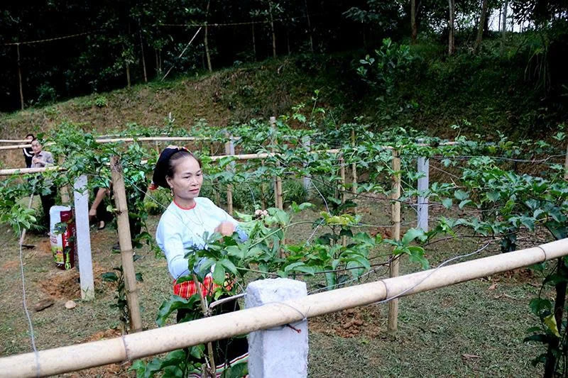 فرصت‌های برابری جنسیتی برای زنان و کودکان در مناطق کوهستانی محروم