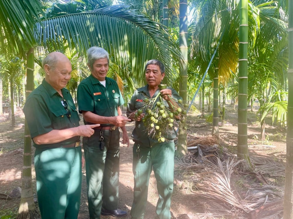 Para veteran teladan menjunjung tinggi tradisi, layaknya prajurit Paman Ho