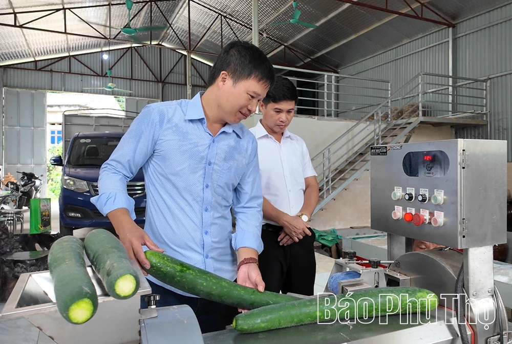 Van Lang: Reis van verandering