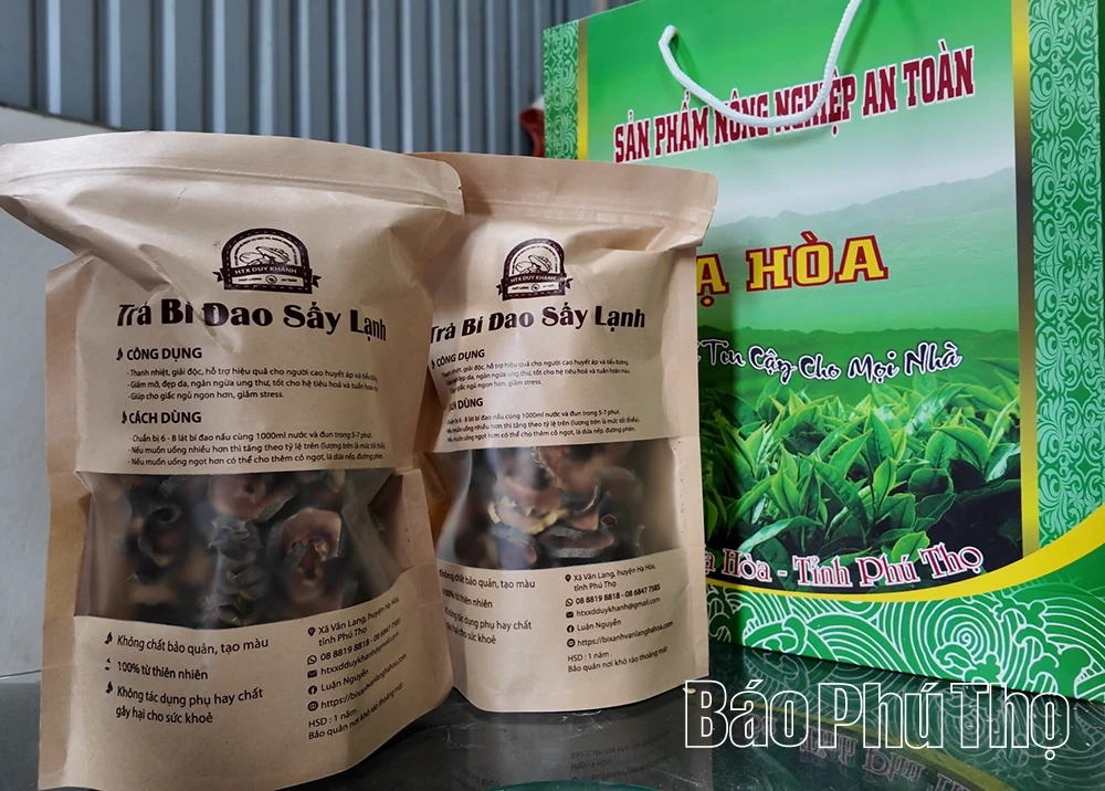 Van Lang: Reis van verandering