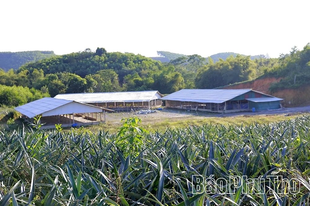 Van Lang: Reis van verandering