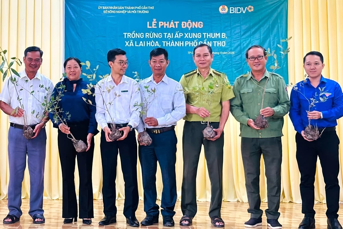 Sở Nông nghiệp và Môi trường TP. Cần Thơ phối hợp với các đơn vị liên quan phát động lễ trồng rừng. Ảnh: Anh Tú.