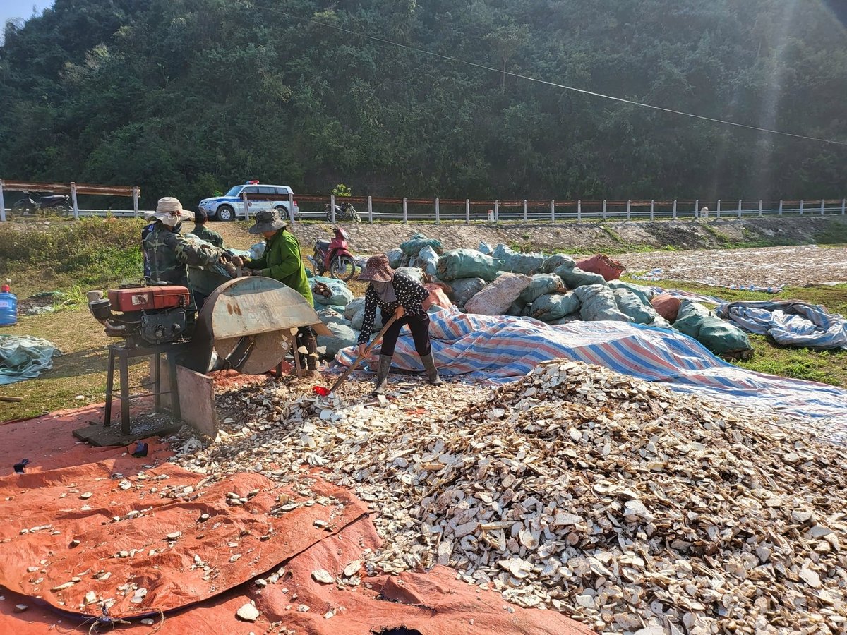 ປະຊາຊົນບ້ານນາຊາງປຸງແຕ່ງຜະລິດຕະພັນກະເສດພາຍຫຼັງການເກັບກ່ຽວ, ສ້າງແຫຼ່ງສິນຄ້າທີ່ໝັ້ນຄົງເພື່ອຮັບໃຊ້ຕະຫຼາດ, ເພີ່ມລາຍຮັບ. ພາບ: ຮວ່າງເຈົາ. Người dân xã Na Sang chế biến nông sản sau thu hoạch, tạo nguồn hàng hóa ổn định phục vụ thị trường và nâng cao thu nhập. Ảnh: Hoàng Châu.