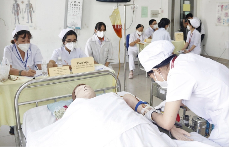 văn bằng - Ảnh 1.