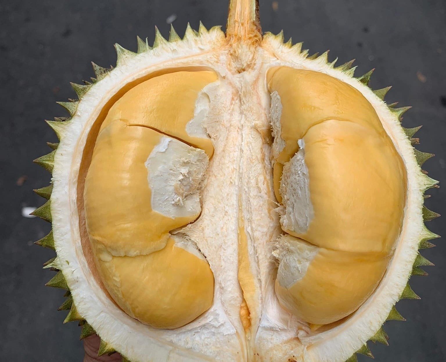 ລາຄາ​ Durian ມື້ນີ້ 28 ພະຈິກ 2025 ສູງ​ສຸດ, ຜົນ​ກຳ​ໄລ​ຂອງ​ຊາວ​ກະ​ສິ​ກອນ​ຕ່ຳ