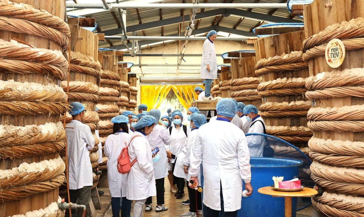 Đoàn đối tác Thái Lan lần đầu tiên tham quan không gian nhà thùng Masan PQ với quy mô gần 500 thùng ủ chượp nước mắm. Ảnh: Masan.