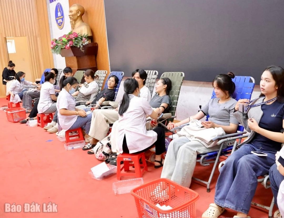 Tay Nguyen یونیورسٹی کے بہت سے طلباء نے پروگرام میں شرکت کی۔