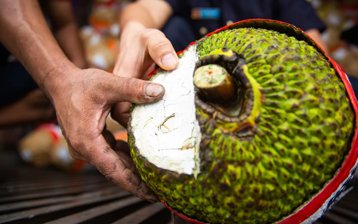 Fersk jackfrukt offisielt eksportert til Kina Mít tươi xuất khẩu chính ngạch sang Trung Quốc