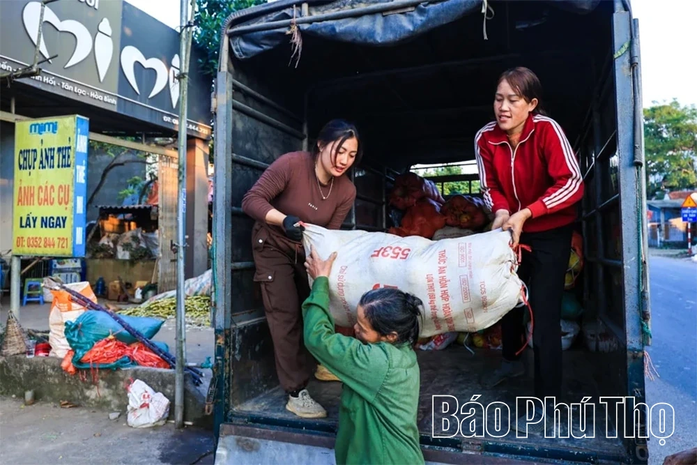 Ароматний смак червоного грейпфрута Tan Lac