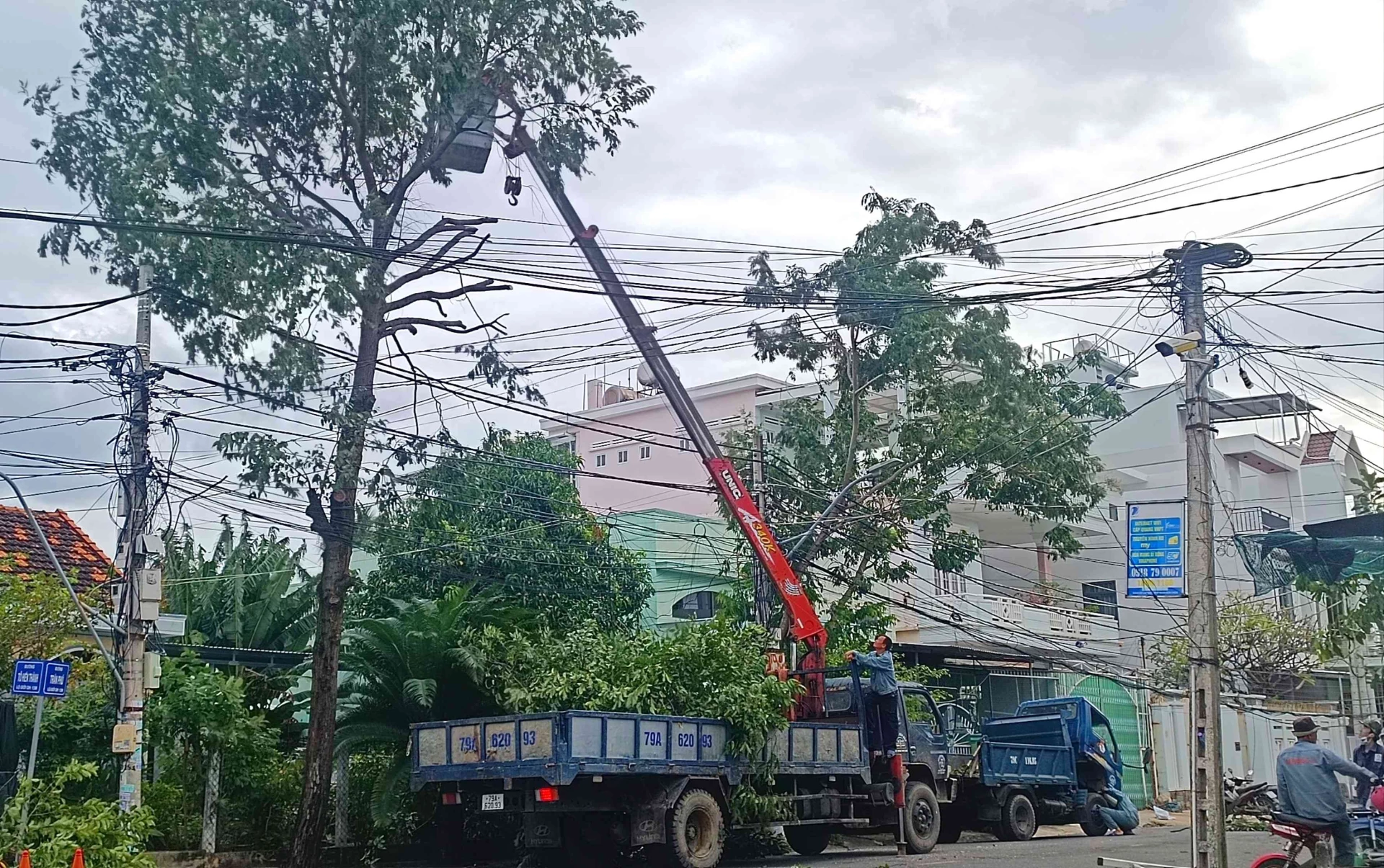 वान निन्ह कम्यून ने तूफान आने से पहले पेड़ों की छंटाई कर दी थी।
