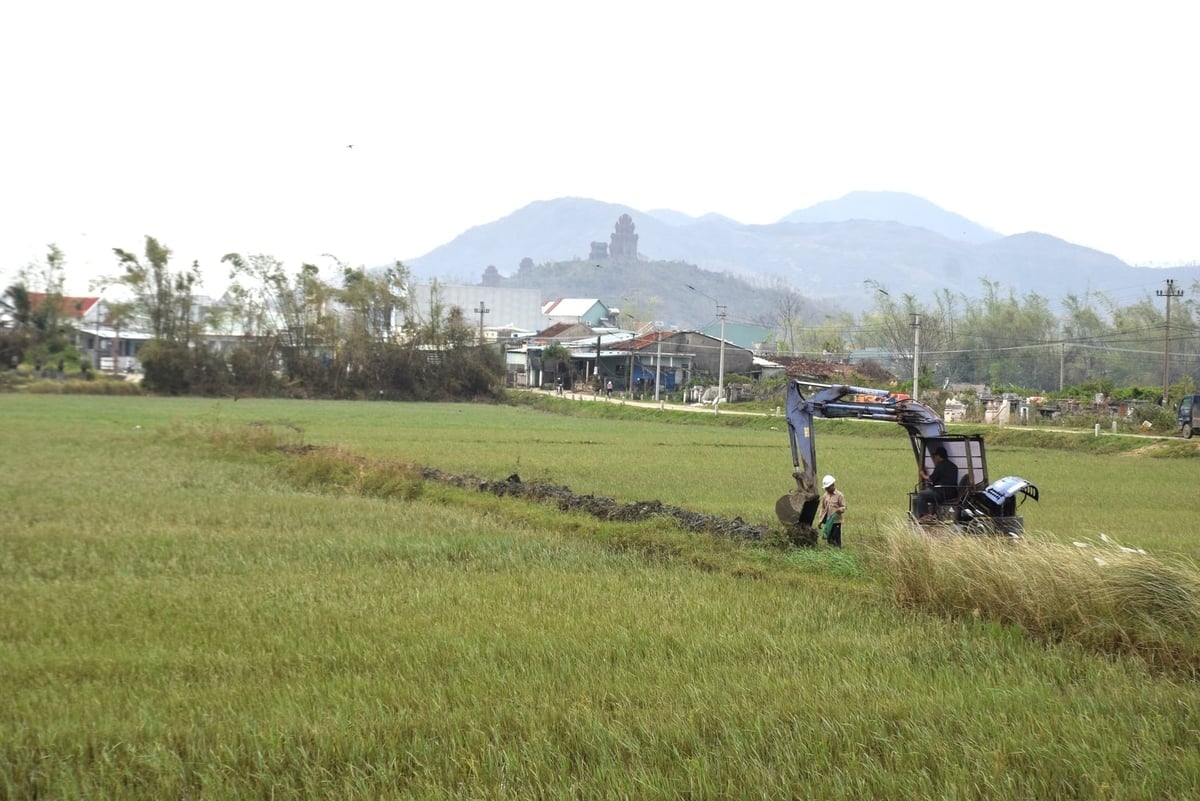 Các địa phương nạo vét kênh mương bị bồi lấp sau lũ chuẩn bị sản xuất vụ đông xuân 2025-2026. Ảnh: V.Đ.T.