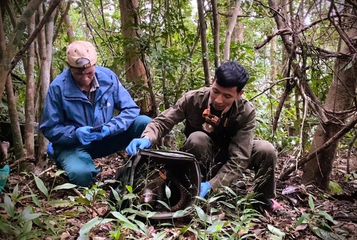 7 con vật bị đe dọa tuyệt chủng trên toàn cầu được thả về tự nhiên - Ảnh 1.