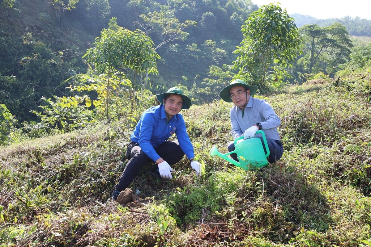ভিয়েতনাম ন্যাশনাল পেট্রোলিয়াম গ্রুপের ডেপুটি জেনারেল ডিরেক্টর (ডানে) এবং ভিয়েতনাম ন্যাশনাল পেট্রোলিয়াম গ্রুপের ইয়ুথ ইউনিয়নের সেক্রেটারি (বামে) মিঃ নগুয়েন সি কুওং সরাসরি জুয়ান সন জাতীয় উদ্যানে বৃক্ষরোপণে অংশগ্রহণ করেছিলেন। ছবি: হং নগোক। Ông Nguyễn Sỹ Cường, Phó Tổng giám đốc Tập đoàn Xăng dầu Việt Nam (bên phải) và Bí thư Đoàn Thanh niên Tập đoàn Xăng dầu Việt Nam (bên trái) trực tiếp tham gia trồng cây tại Vườn Quốc gia Xuân Sơn. Ảnh: Hồng Ngọc.