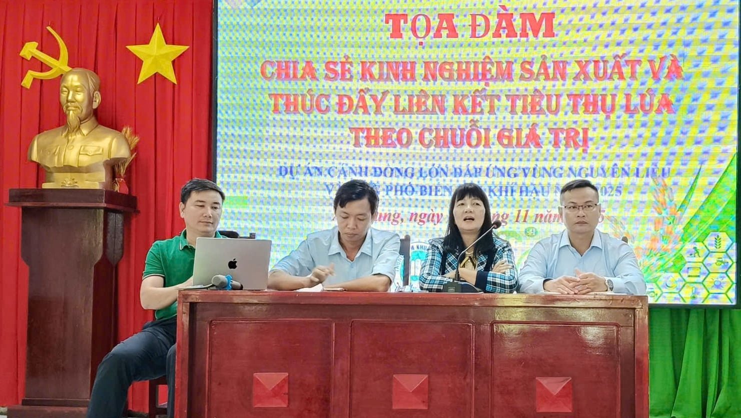 Các chuyên gia và đại diện doanh nghiệp chia sẻ kinh nghiệm sản xuất, thảo luận giải pháp thúc đẩy liên kết tiêu thụ lúa theo chuỗi giá trị tại tọa đàm trong khuôn khổ lớp tập huấn. Ảnh: Lê Hoàng Vũ.