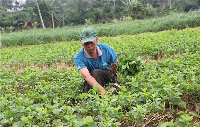 ចំណងជើងរូបថត