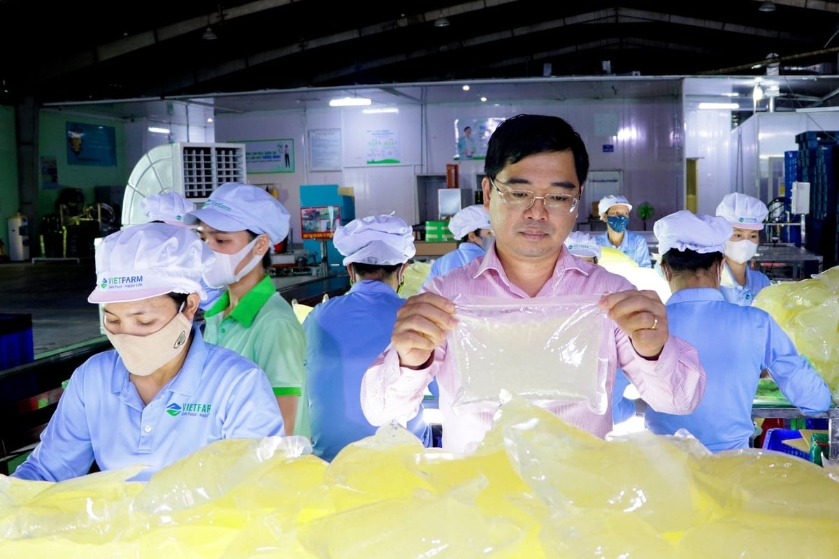 صُدِّرت منتجات شركة جي سي للأغذية إلى 27 دولة، بما في ذلك العديد من الأسواق المتطلبة مثل اليابان وكوريا والولايات المتحدة والاتحاد الأوروبي. تصوير: نجوين ثوي.