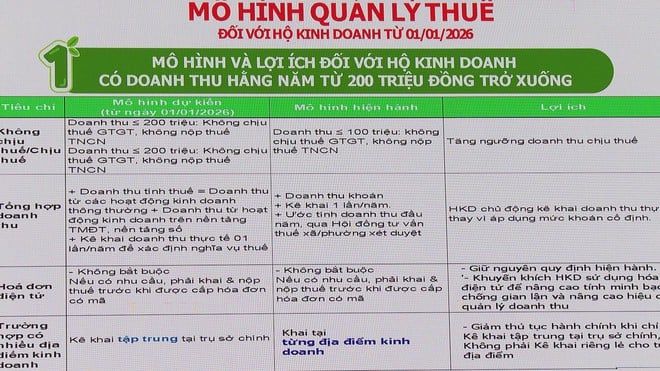 Ngành thuế TP. Hồ Chí Minh đẩy mạnh hướng dẫn thực hiện chính sách thuế mới cho hộ kinh doanh - Ảnh 2.
