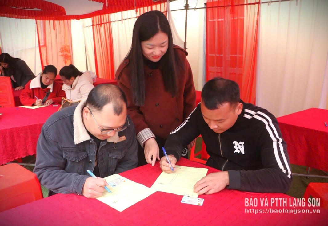 Dobrovolníci se na festivalu registrují k darování krve