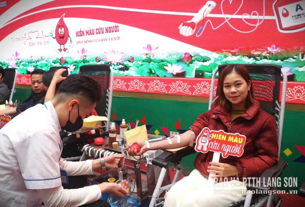 Dobrovolníci darují krev na festivalu